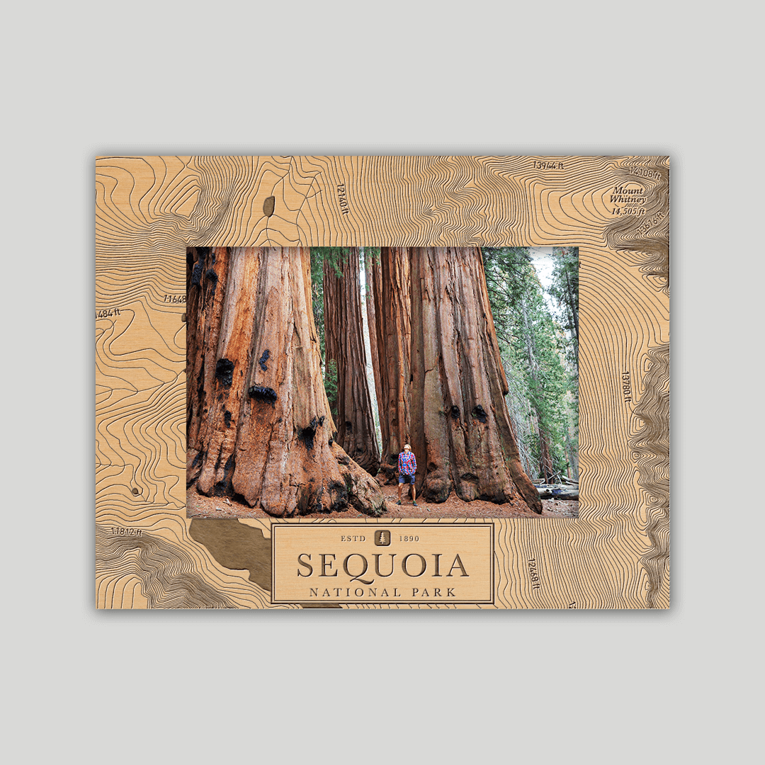Sequoia National Park Photo Frame