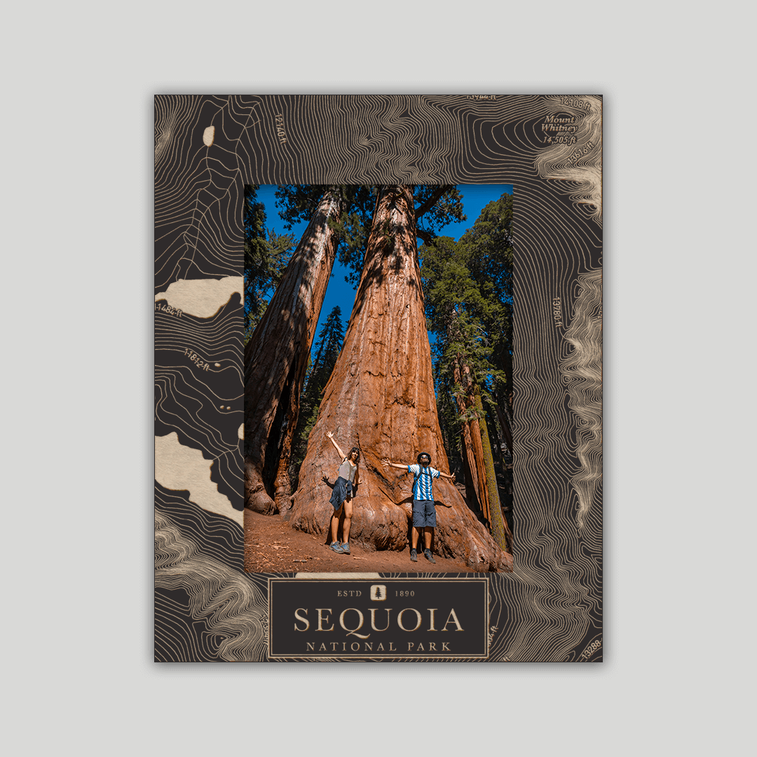 Sequoia National Park Photo Frame