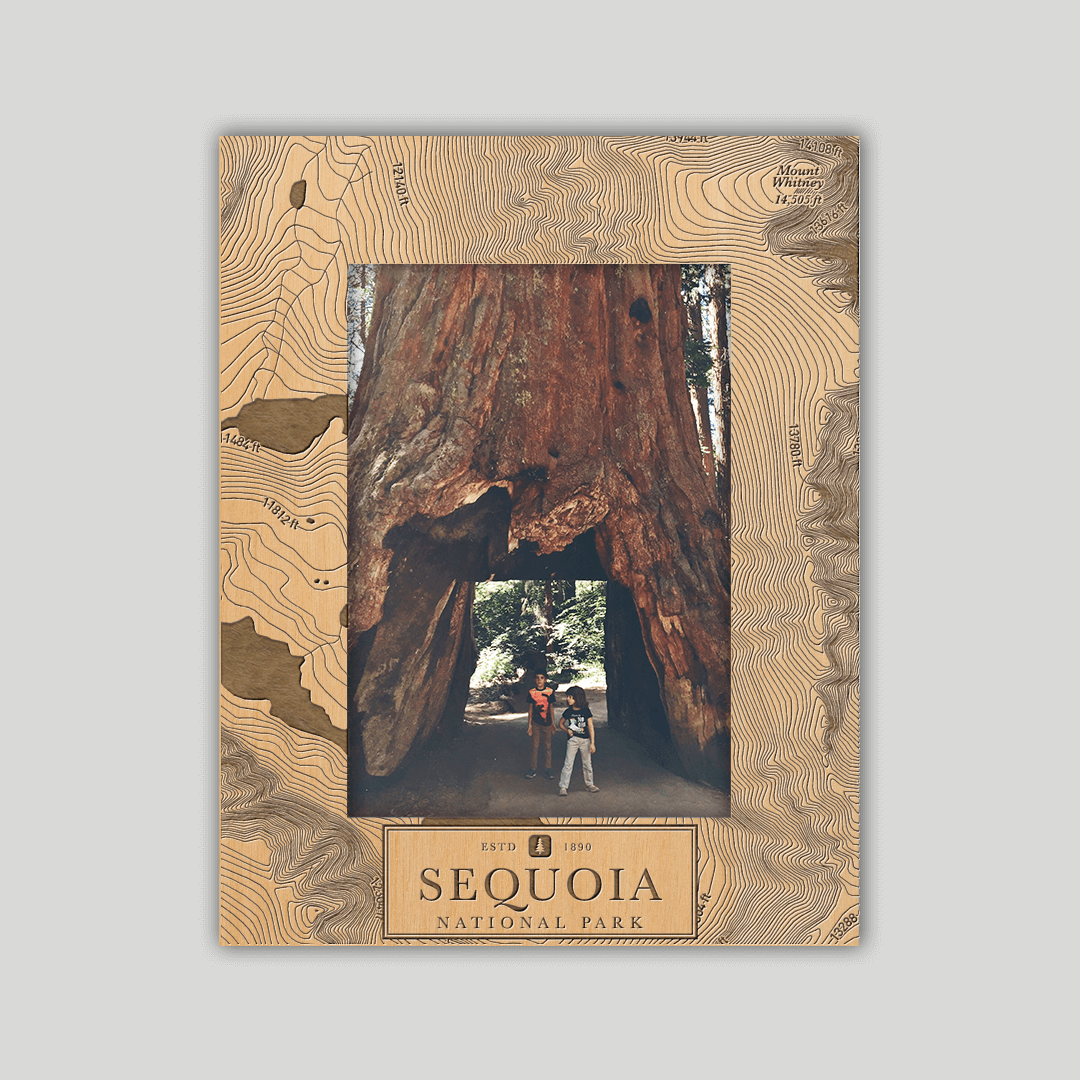 Sequoia National Park Photo Frame