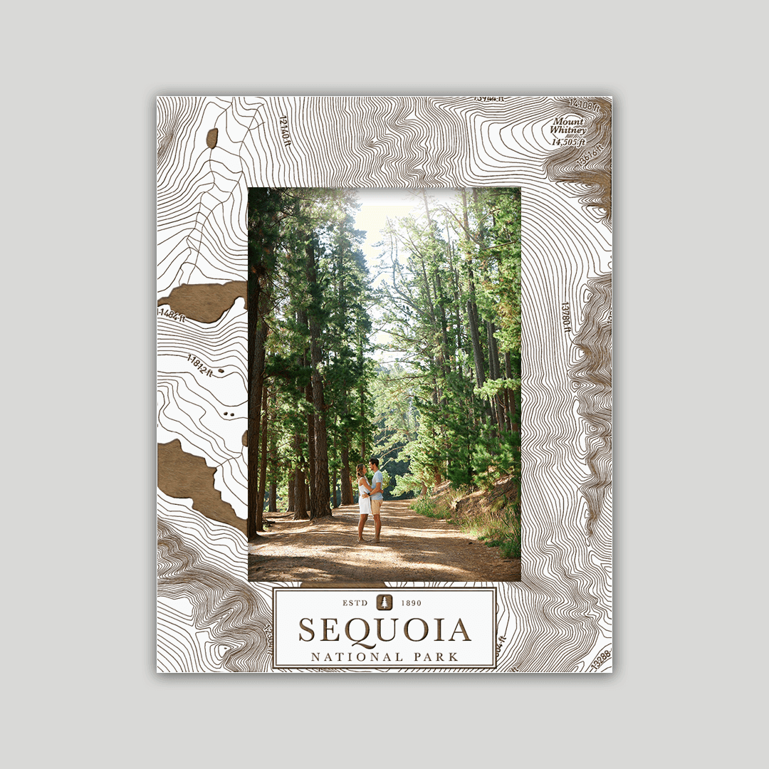 Sequoia National Park Photo Frame
