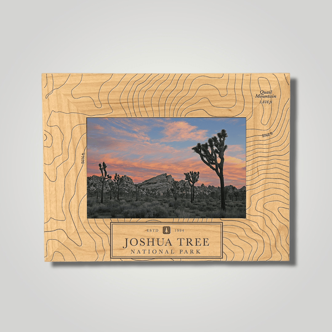 Joshua Tree National Park - Journey Frames
