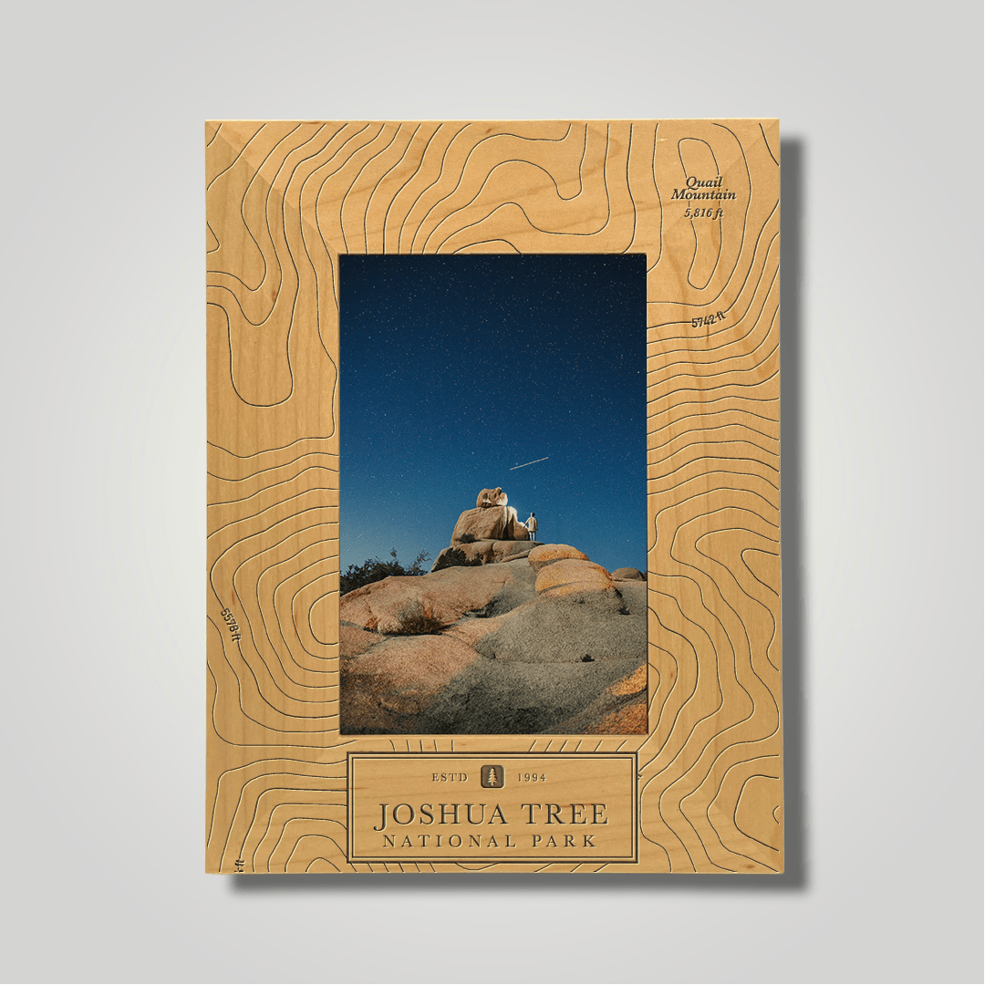 Joshua Tree National Park - Journey Frames